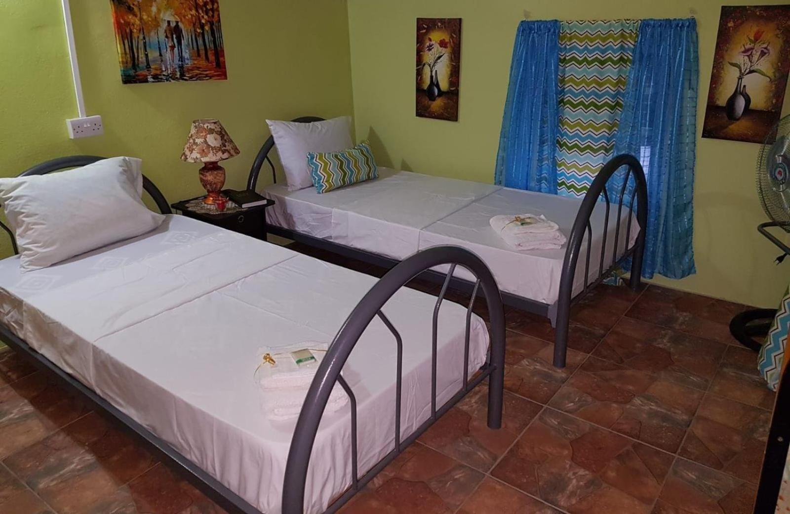 Salz Cozy Inn Roseau Exterior foto